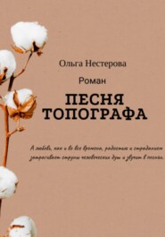 бесплатно читать книгу Песня топографа автора Ольга Нестерова