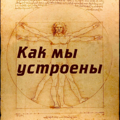 Как мы устроены (Радио Звезда)
