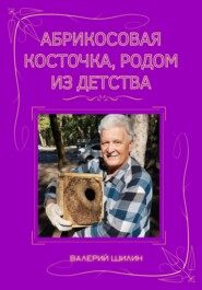 бесплатно читать книгу Абрикосовая косточка, родом из детства автора Валерий Шилин