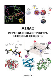 бесплатно читать книгу Атлас. Иерархическая структура белковых веществ автора Максим Полумбрик