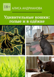 бесплатно читать книгу Удивительные кошки: голые и в одёжке. Сказка для взрослых детей автора Алиса Андрианова