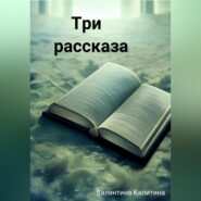 бесплатно читать книгу Три рассказа автора Валентина Калитина
