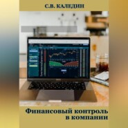 бесплатно читать книгу Финансовый контроль в компании автора Сергей Каледин