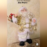 бесплатно читать книгу Дед Мороз автора Илья Тагиев