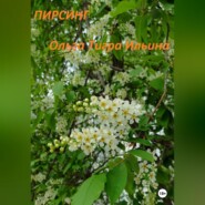 бесплатно читать книгу Пирсинг автора Ольга Ильина