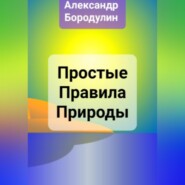 бесплатно читать книгу Простые правила Природы автора Александр Бородулин