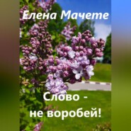 бесплатно читать книгу Слово – не воробей! автора Елена Мачете