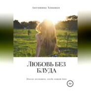 бесплатно читать книгу Любовь без блуда автора Антонина Ховавко