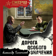 бесплатно читать книгу Дорога особого значения автора Александр Тамоников
