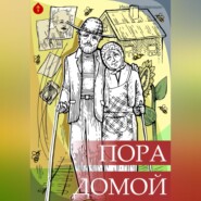 бесплатно читать книгу Пора домой автора Иван Мордвинкин