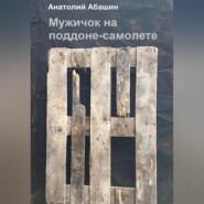 бесплатно читать книгу Мужичок на поддоне автора Анатолий Абашин