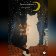 бесплатно читать книгу История одной любви автора Ирина Вишнякова