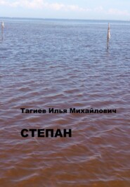 бесплатно читать книгу Степан автора Илья Тагиев