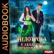 бесплатно читать книгу Недотрога в академии некромантов автора Кристина Корр