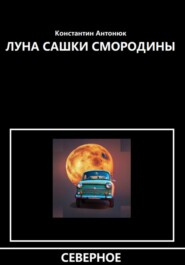 бесплатно читать книгу Луна Сашки Смородины автора Константин Антонюк