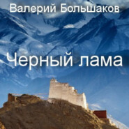 бесплатно читать книгу Чёрный лама автора Валерий Большаков