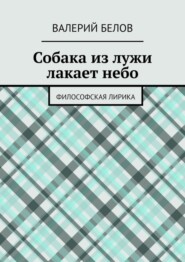 бесплатно читать книгу Собака из лужи лакает небо. Философская лирика автора Валерий Белов