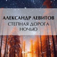 бесплатно читать книгу Степная дорога ночью автора Александр Левитов
