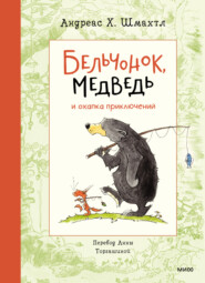 бесплатно читать книгу Бельчонок, Медведь и охапка приключений автора Андреас Шмахтл