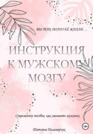 бесплатно читать книгу Инструкция к мужскому мозгу автора Татьяна Паламарчук