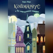 бесплатно читать книгу Кошмариус и его непридуманные истории автора Норрис Мирт