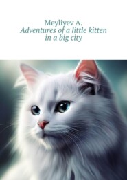 бесплатно читать книгу Adventures of a little kitten in a big city автора  Meyliyev A.