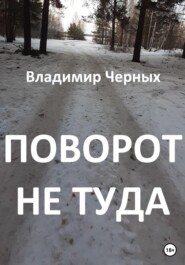 бесплатно читать книгу Поворот не туда автора Владимир Черных