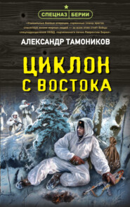 бесплатно читать книгу Циклон с востока автора Александр Тамоников