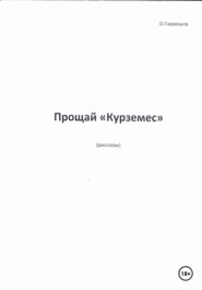 бесплатно читать книгу Прощай, «Курземес» автора Олег Гаврюшов