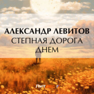 бесплатно читать книгу Степная дорога днем автора Александр Левитов