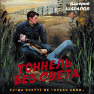 бесплатно читать книгу Тоннель без света автора Валерий Шарапов