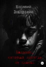 бесплатно читать книгу Мальчик, который никогда не плакал автора Василий Завадский