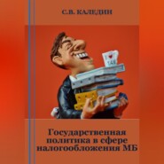 бесплатно читать книгу Государственная политика в сфере налогообложения МБ автора Сергей Каледин