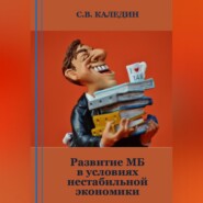 бесплатно читать книгу Развитие МБ в условиях нестабильной экономики автора Сергей Каледин