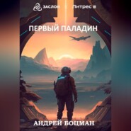 бесплатно читать книгу Первый Паладин автора Андрей Боцман