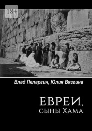 бесплатно читать книгу Евреи, сыны Хама автора Юлия Вязгина