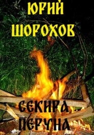 бесплатно читать книгу Секира Перуна автора Юрий Шорохов