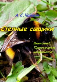 бесплатно читать книгу Степные сыщики автора Алексей Чайкин