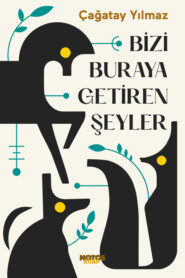 бесплатно читать книгу Bizi Buraya Getiren Şeyler автора Yılmaz Çağatay