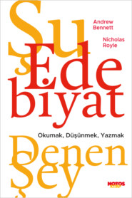 бесплатно читать книгу Şu Edebiyat Denen Şey автора Николас Ройл