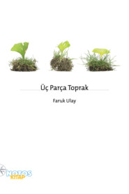 бесплатно читать книгу Üç Parça Toprak автора Faruk Ulay