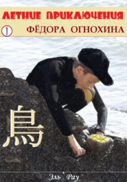 бесплатно читать книгу Летние приключения Фёдора Огнохина автора  Эль`Рау