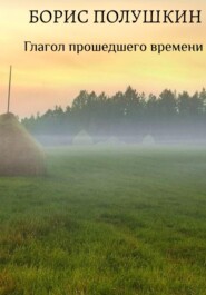бесплатно читать книгу Глагол прошедшего времени автора Борис Полушкин