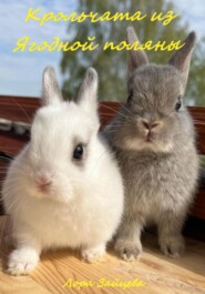 бесплатно читать книгу Крольчата из Ягодной поляны автора Лора Зайцева