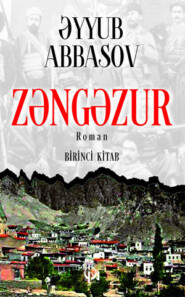 бесплатно читать книгу Zəngəzur (Birinci kitab) автора Əyyub Abbasov