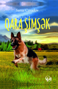 бесплатно читать книгу Qara Şimşək автора Samir Cavadov