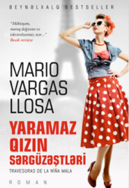 бесплатно читать книгу Yaramaz qızın sərgüzəştləri автора Mario Varqas