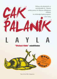 бесплатно читать книгу Layla - Çak Palanik автора Чак Паланик