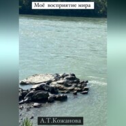 бесплатно читать книгу Моё восприятие мира автора Айгуль Кожанова