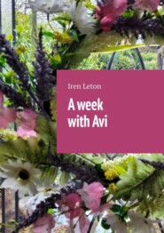 бесплатно читать книгу A week with Avi автора Iren Leton